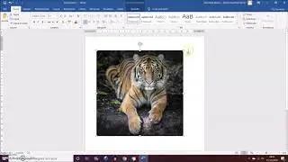 Come inserire un'immagine dal Web  in Word