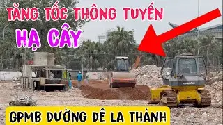 Đê La Thành Phá Hạ Hàng Cọ Thông Tuyến Đoạn Cuối Cùng Ra Cầu Giấy 