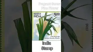 5 Rupees Stamp_Fragrant Screw Pine Flower_Indian stamp 2023 #stamps #odisha#flower#gitag #2023#india