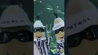 BANANA versus HOTDOG go SWIMMING | 🍌EP9🌭