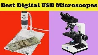 Best 5 Digital USB Microscopes 2020 On Amazon!