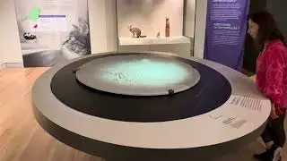 Toronto Royal Ontario Museum | #RoyalOntarioMuseum#ExploreToronto