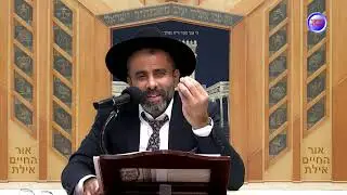 הרב יואב חנו פרשת בשלח-שבת שירה תשפ