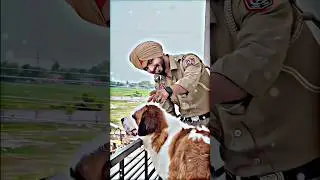 Bihar police officer #ytshorts #viralvideo #upsc #ips #trending #life  #bihar #police #shorts