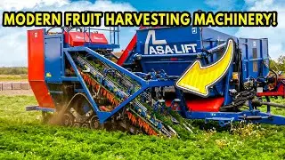 Modern Fruit Harvesting Machinery That Make This Process Easy