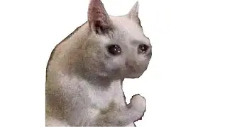 DANK MEMES I WATCH WHILE POOPING