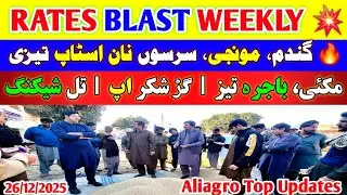Gandum & Munji On Fire 🔥 | Sarson, Til, Makki Rates Today | Weekly Mandi Update