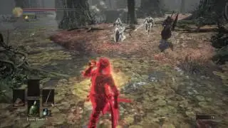 5v1 Ladder kill Dark Souls 3