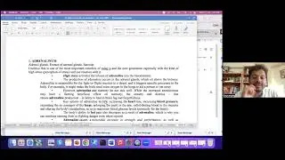 Sarcodes - a brief introduction