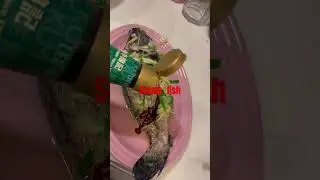 Fisch d&auml;mpfen #Essen #Kochen #Abonnieren #Danke #YouTubeShorts #DankeMillion #YouTubeVideos