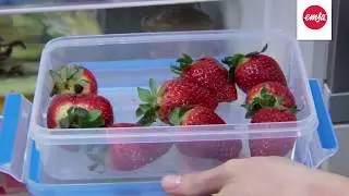 Герметичные контейнеры CLIP & CLOSE от EMSA   свежие продукты каждый день