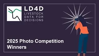 Winning photos - LD4D Photo Competition 2025