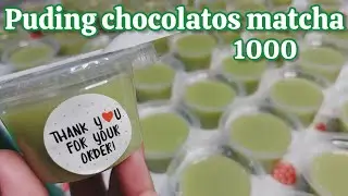 CUMA 1000 PUDING CHOCOLATOS MATCHA.. cocok untuk ide jualan