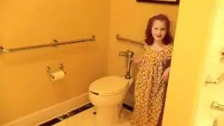 Loud Toilet Flush