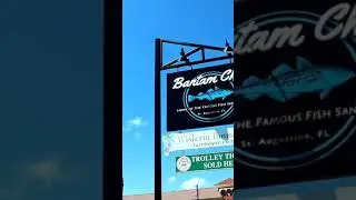 Famous Fish Sandwich. At Bantam Chef In St Augustine. Out of this world! Sub for more Florida Food!