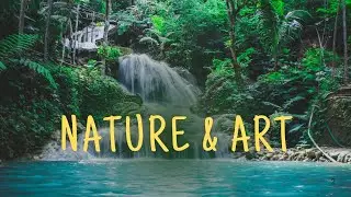 Drone Short #green # Birds# Snow Grass # nature # landscape painting # lake #  # artistic expression