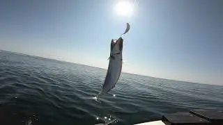 Hav&oslash;rrede fiskeri i K&oslash;gebugt - Tips til agn og brug af sideplaner