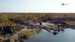 The Wild Beauty of Zambezi
