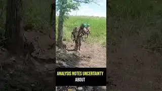 Ukrainian army make tactically important progress in Zaporizhzhia | Watch Express
