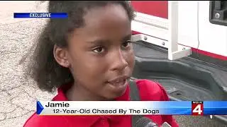 Video captures Pit Bulls attacking a man near Detroit School