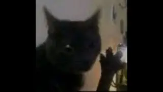 dibujando and moaar