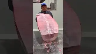 Why is tuna always cut in half #shortvideo
