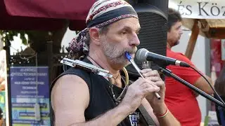 Wyq-thor - Hello Mary-Lou  || Rick Nelson cover