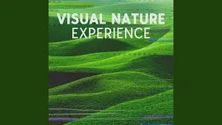 Joyful Experience