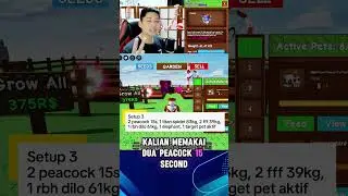 Setup Leveling pet aktif Grow a Garden  #growagarden #roblox #tutorial #clip