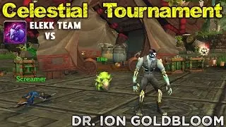 Dr. Ion Goldbloom - Elekk team
