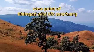 Bhimgad wild life | Bhimgad | western ghats  Belagavi | tourist places near Belagavi |