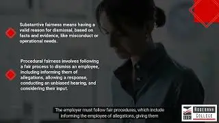 Differentiate between substantive and procedural fairness (LU6/LO5)