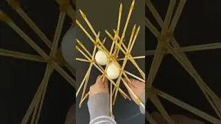 Flexibility of the egg holder