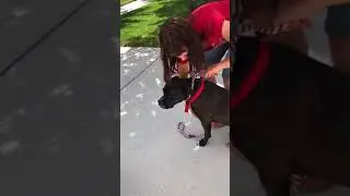 How to make a harness from a rope leash