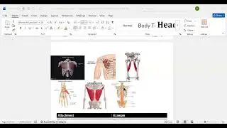 muscle |FUNCTIONS OF MUSCLE | SUPPORTING TISSUE BSN DENTAL MLT RADIOLOGY PART 2