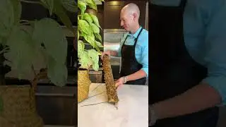 Украсьте свой потос с помощью этого простого удлинителя для мха