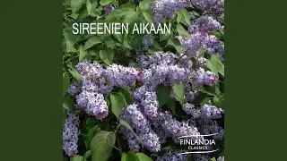Tulenliekki