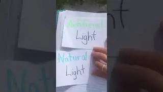 Light Exploration!