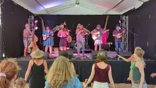 CRAZY FAST FIDDLE MUSIC! - @WhiskeyDram x @CobargoFolkFestival