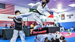 LIMA TAEKWONDO MARTIAL ARTS MMA in PLAYA DEL REY MARINA WESTCHESTER PLAYA VISTA PALMS LOS ANGELES CA