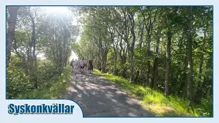 Syskonkvällar på Ågrenska