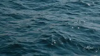 Mavi &ndash; Duygusal Indie Pop | Lo-fi Electro Pop | T&uuml;rk&ccedil;e Kadın Vokal