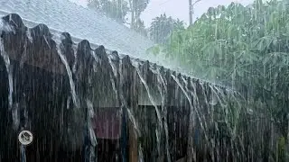 Сильный дождь на жестяной крыше деревенского дома 🌧️ Глубокий сон приходит естественным образом