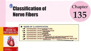 Classification of Nerve fiber || #ch_135  || Neurophysiology || #sembulingam #physiology