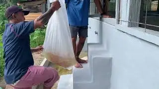 Pgwa lmai kmri Gais Miring sbdau nglepas ank ikan ba Pegong Projek Sjti Mdni#SkrnganAtasSgBlwaiKpit