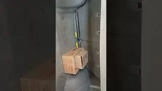 1 de fevereiro de 2026