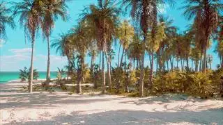 Tropical Trip! Blaine HS Baseball Team Going to Florida