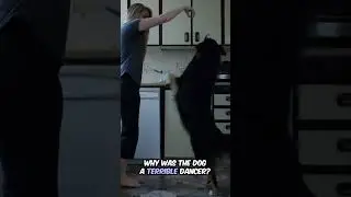 Dog s Two Left Feet - #viralvideo #youtubeshorts #funny #youtube