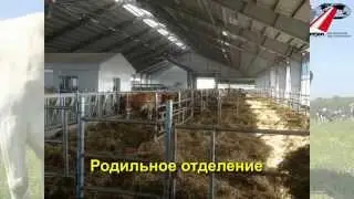 Крупный проект в Восточной Европе