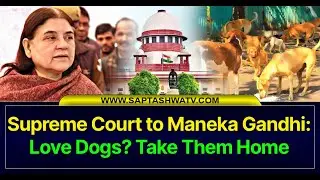 Supreme Court to Maneka Gandhi: Love Dogs? Take Them Home